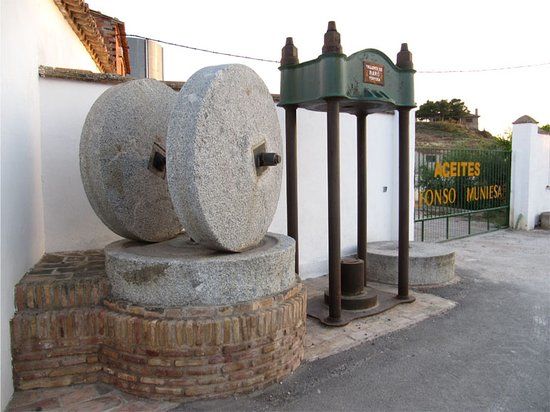 Molino Alfonso